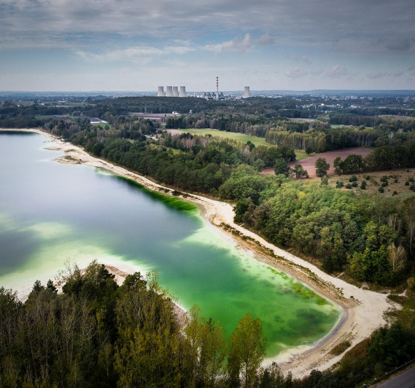 Chorzów: Rusza nabór do konkursu ekologicznego. Jak zdobyć fundusze?